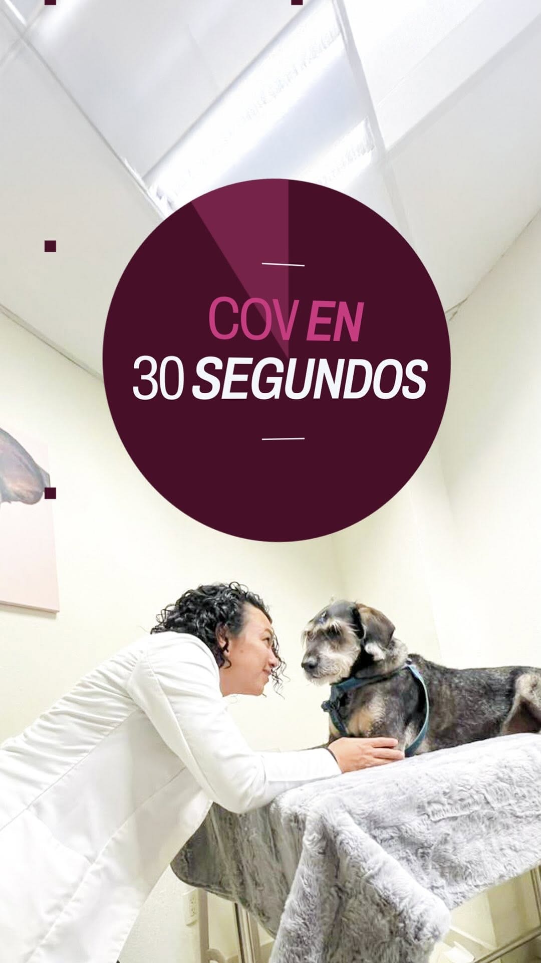 Post 9 by Clínica Oncológica Veterinaria Guadalajara on Instagram (video)