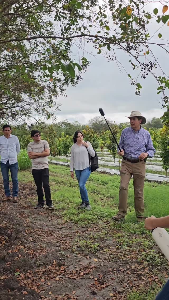 Post 10 by VIVEROS REGIONALES on Instagram (video)