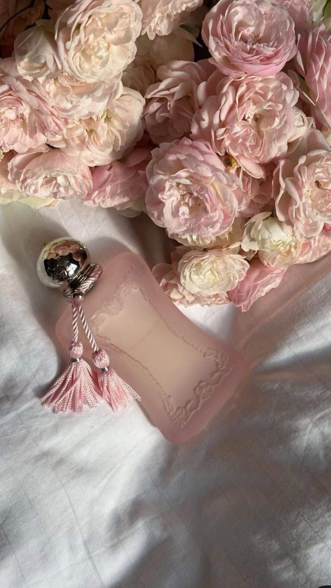 Post 9 by F R A N S E    S A N T O Y A on Instagram (video)
