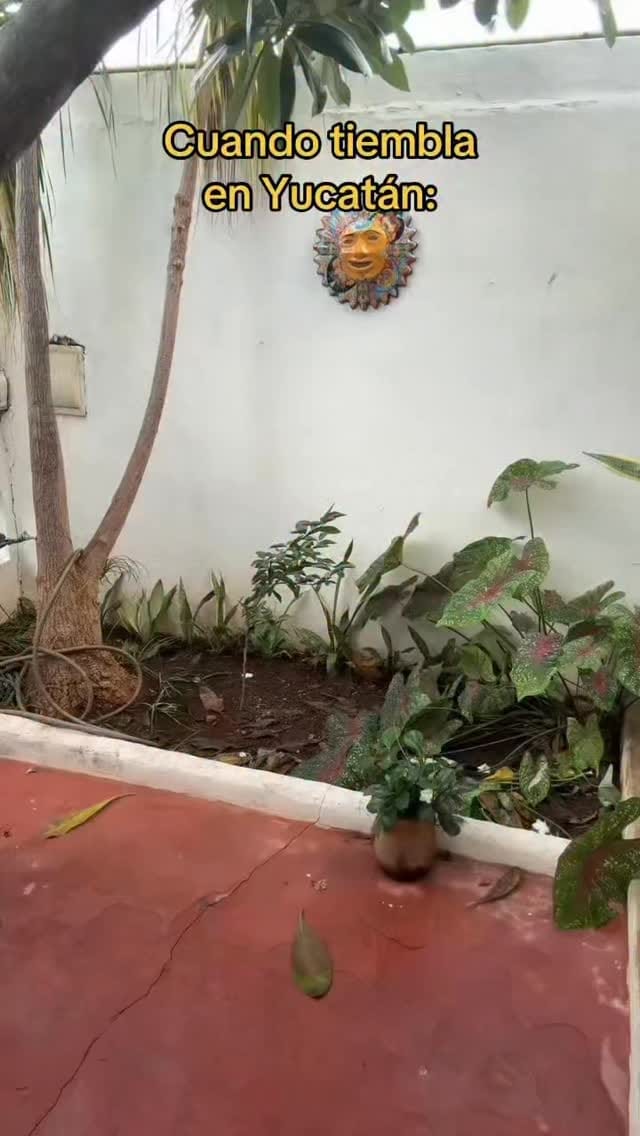 Post 4 by Vicky Wolff✨ on Instagram (video)
