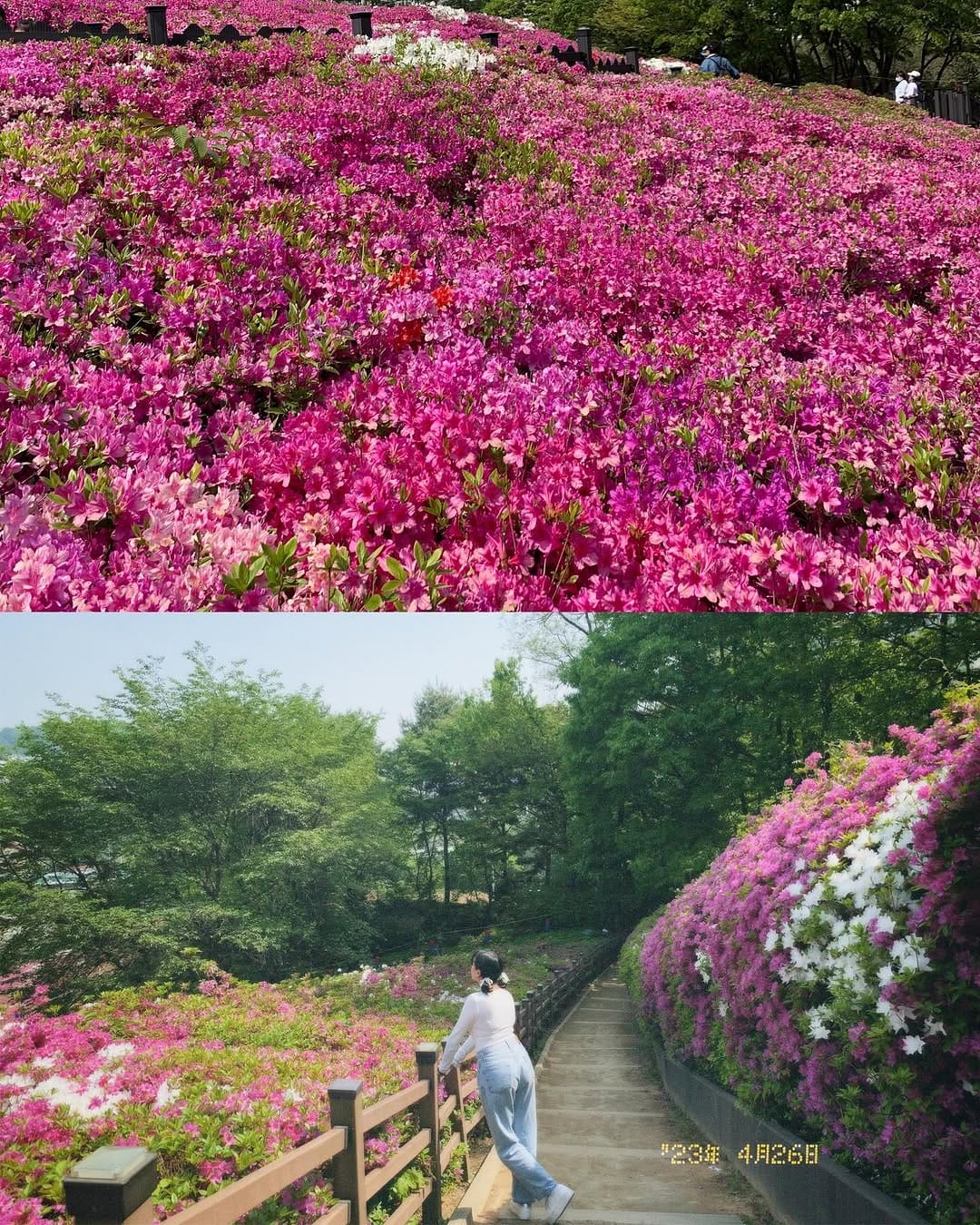 Post 8 by Valerie 발레 on Instagram (carousel)