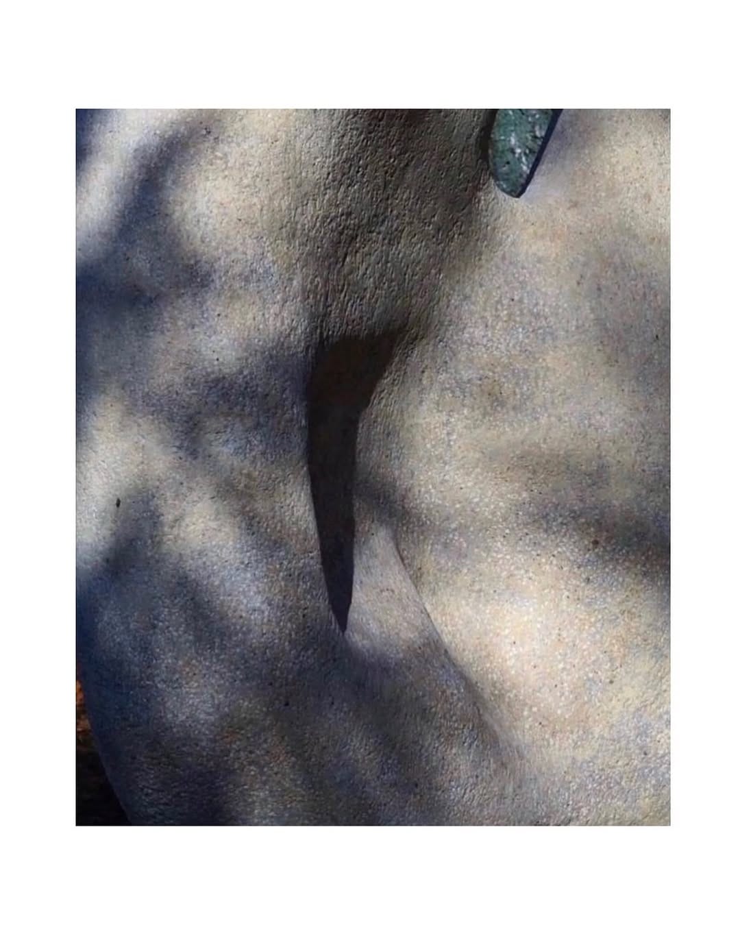 Post 6 by Ewa Wasielewska on Instagram (image)