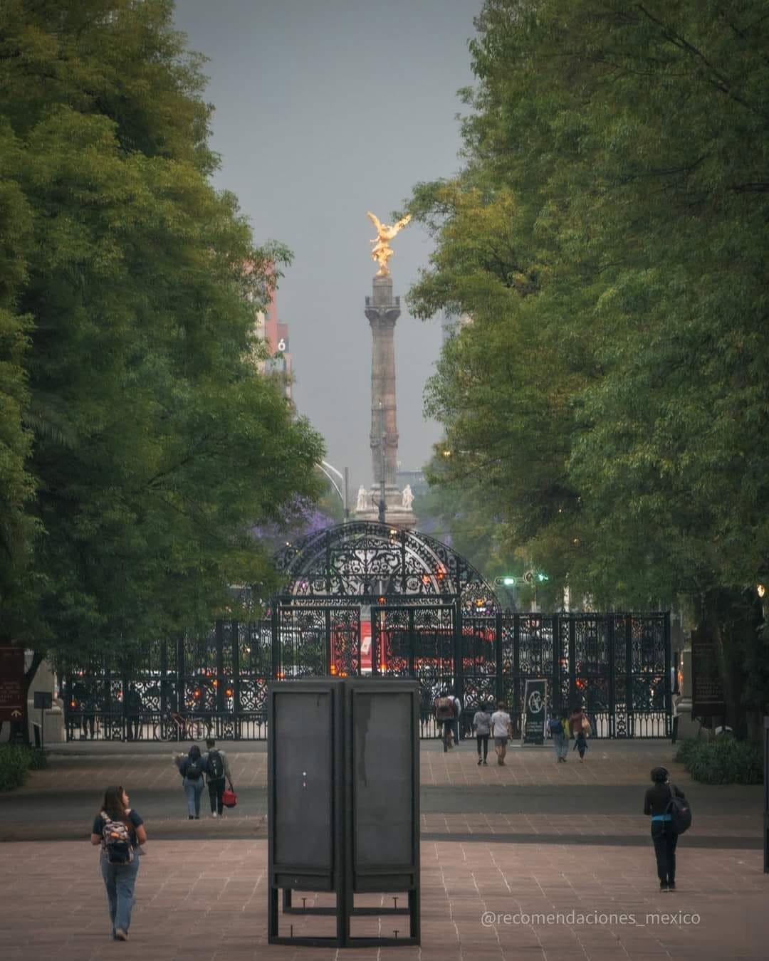 Post 8 by Daniel Garcia on Instagram (image)