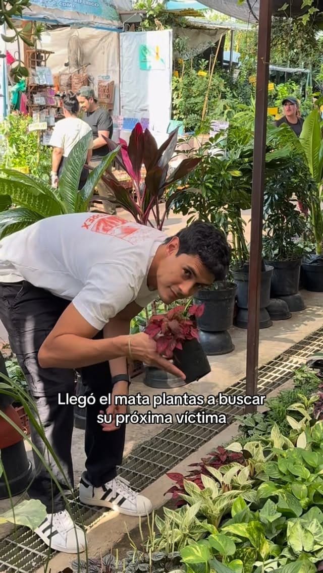 Post 1 by Édgar Cabrera on Instagram (video)