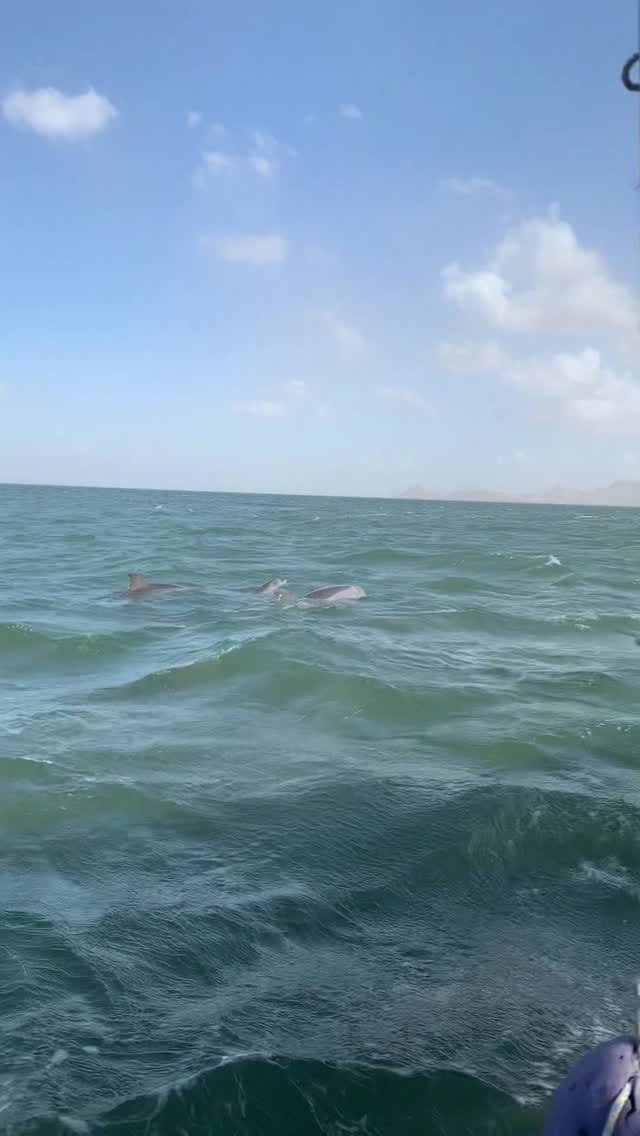 Post 1 by Eduardo Fernandez on Instagram (video)