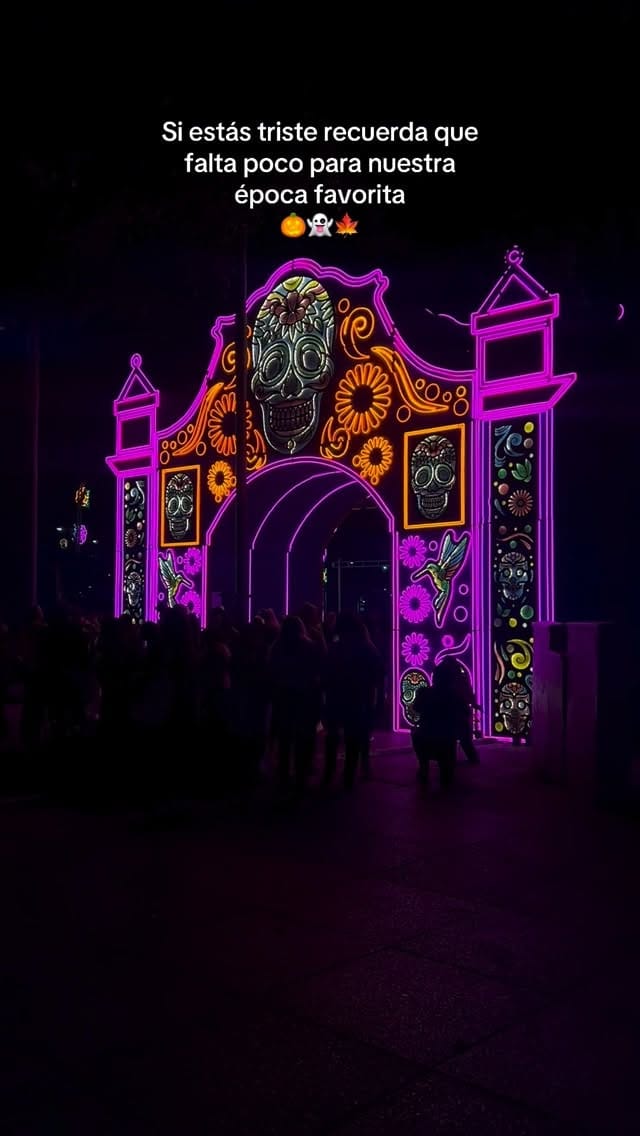 Post 1 by Julieta Gallardo on Instagram (video)