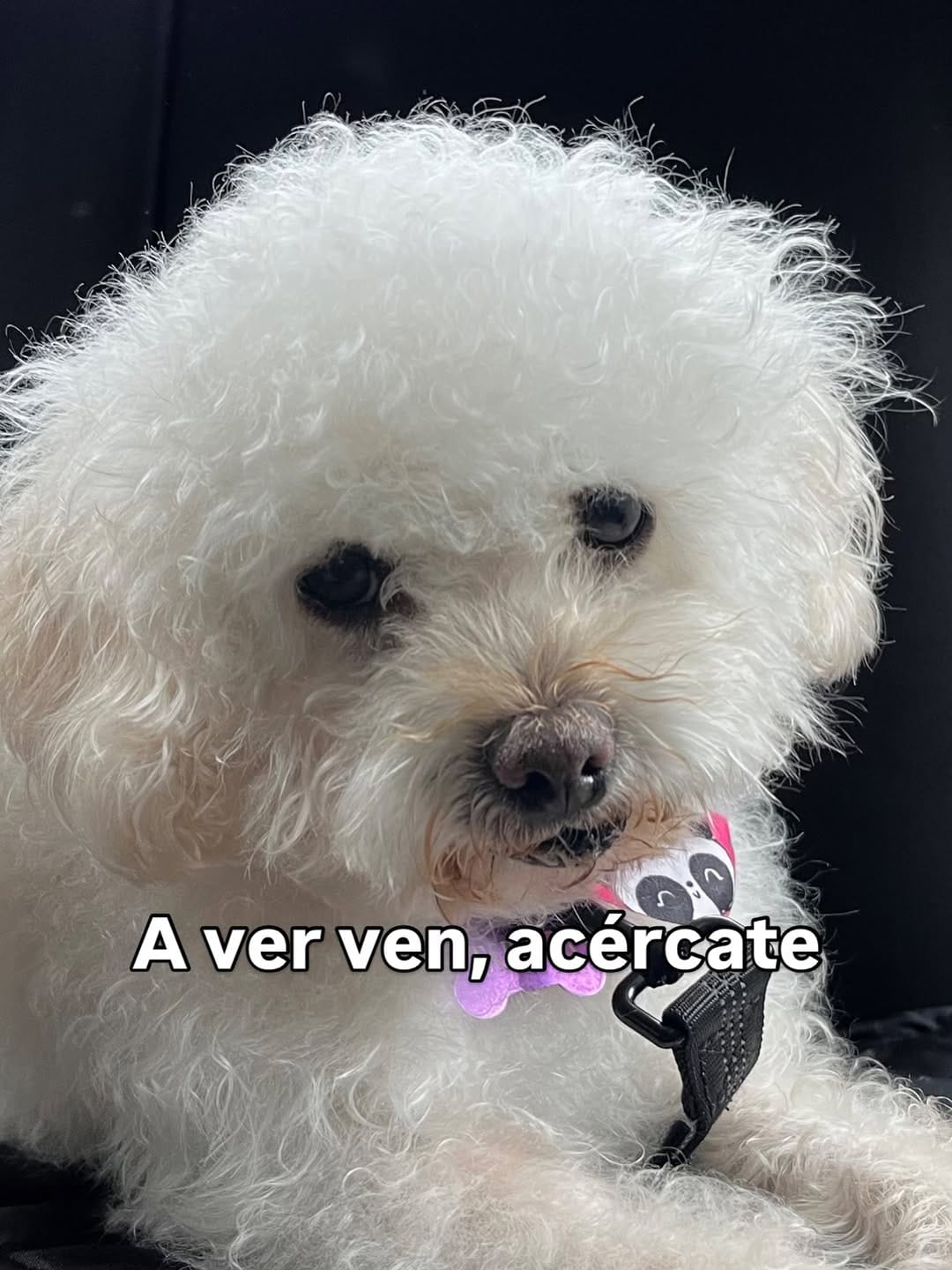 Post 4 by L.N Danely Montero Andrade on Instagram (carousel)