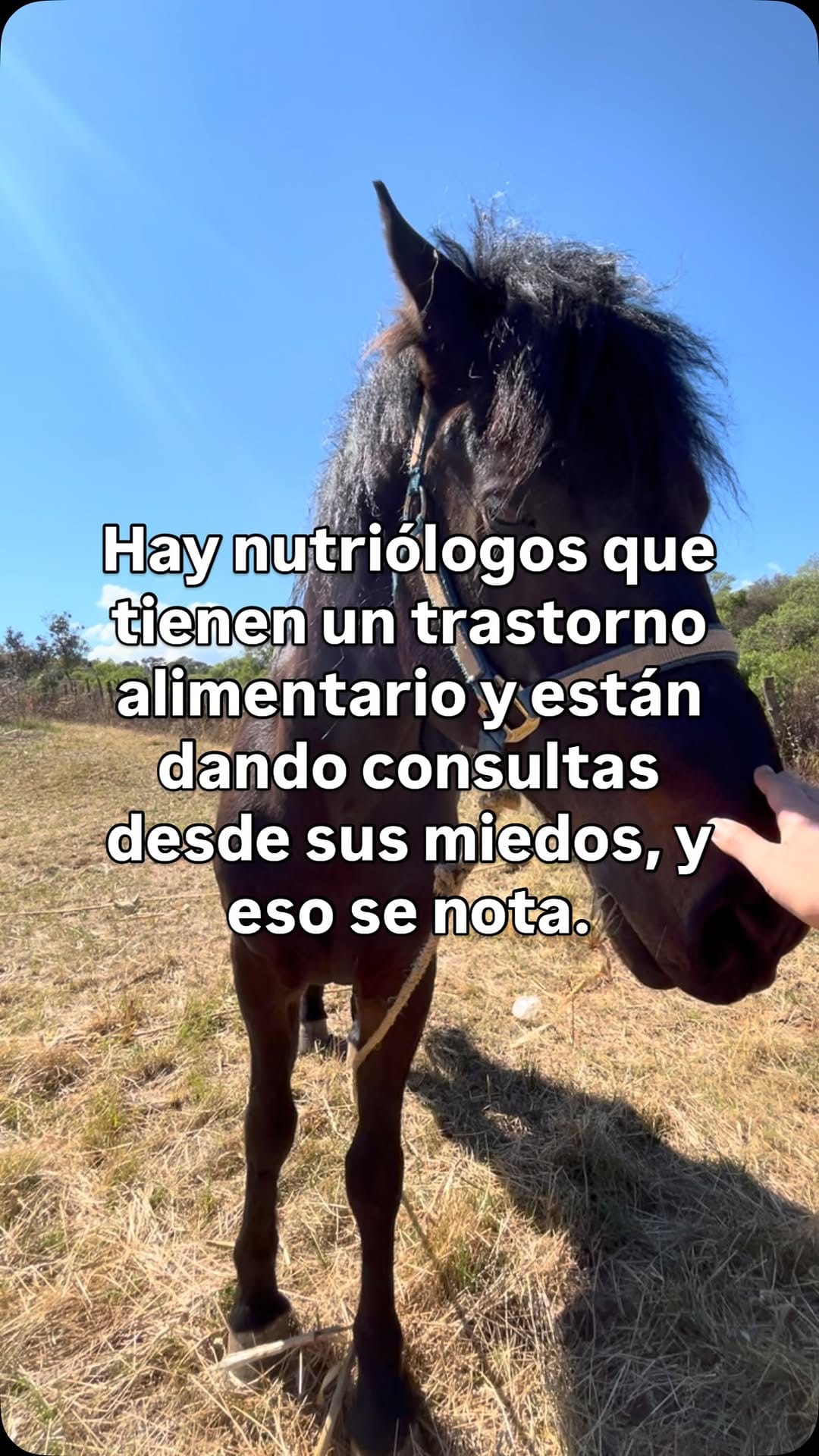 Post 2 by L.N Danely Montero Andrade on Instagram (video)