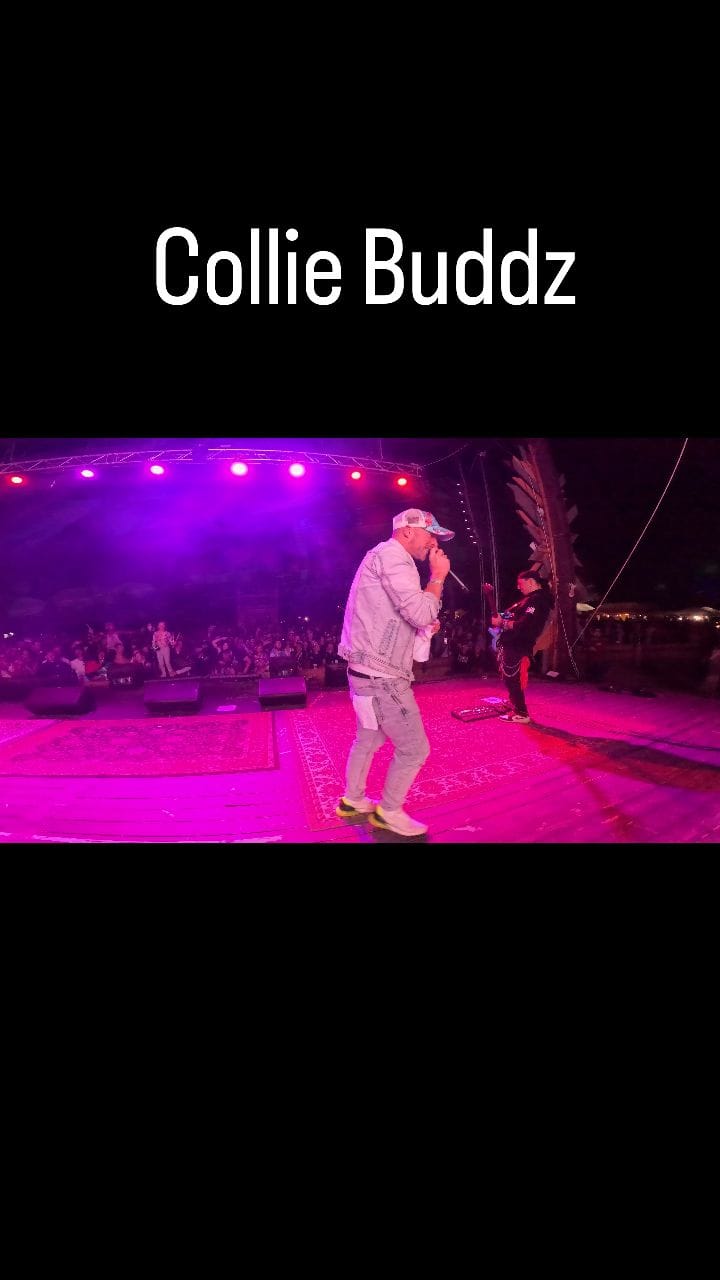 Post 8 by Rise and Vibes Music Festival on Instagram (video)