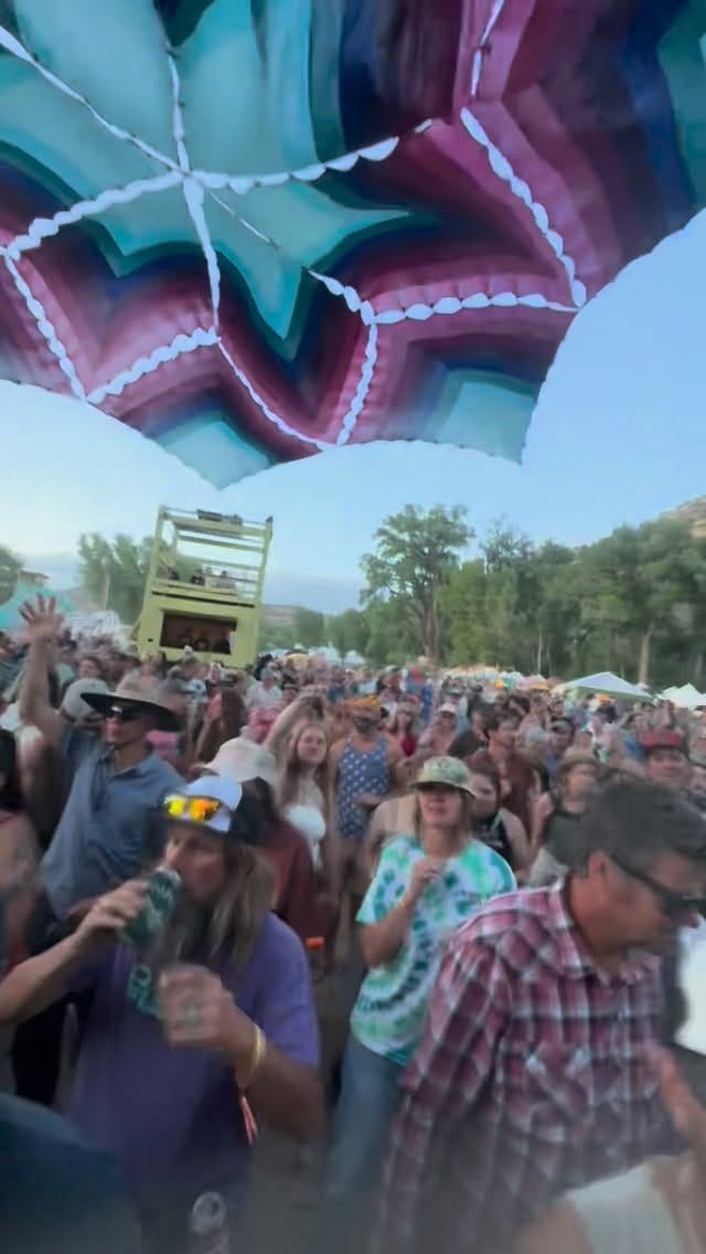 Post 7 by Rise and Vibes Music Festival on Instagram (video)
