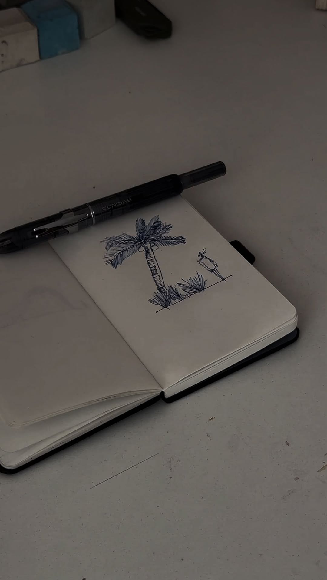 Post 5 by Mike Bengochea on Instagram (video)