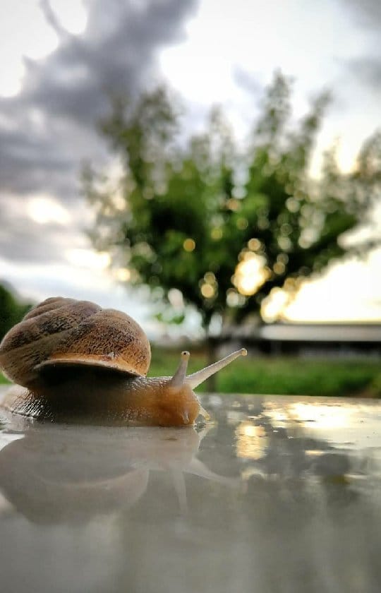 Post 8 by Jorge Muñiz on Instagram (video)