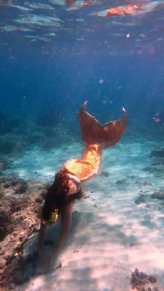 Post 8 by 𝔾𝕒𝕝𝕒 ᵕ̈ on Instagram (video)