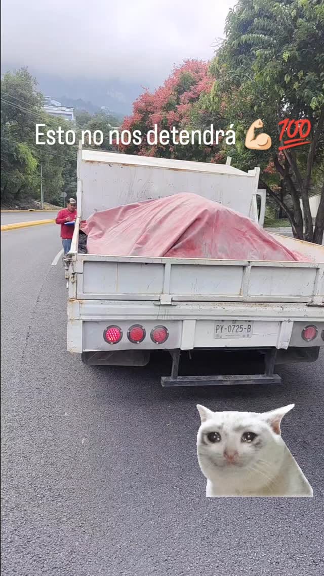 Post 9 by Paola Dávila ♥️ on Instagram (video)