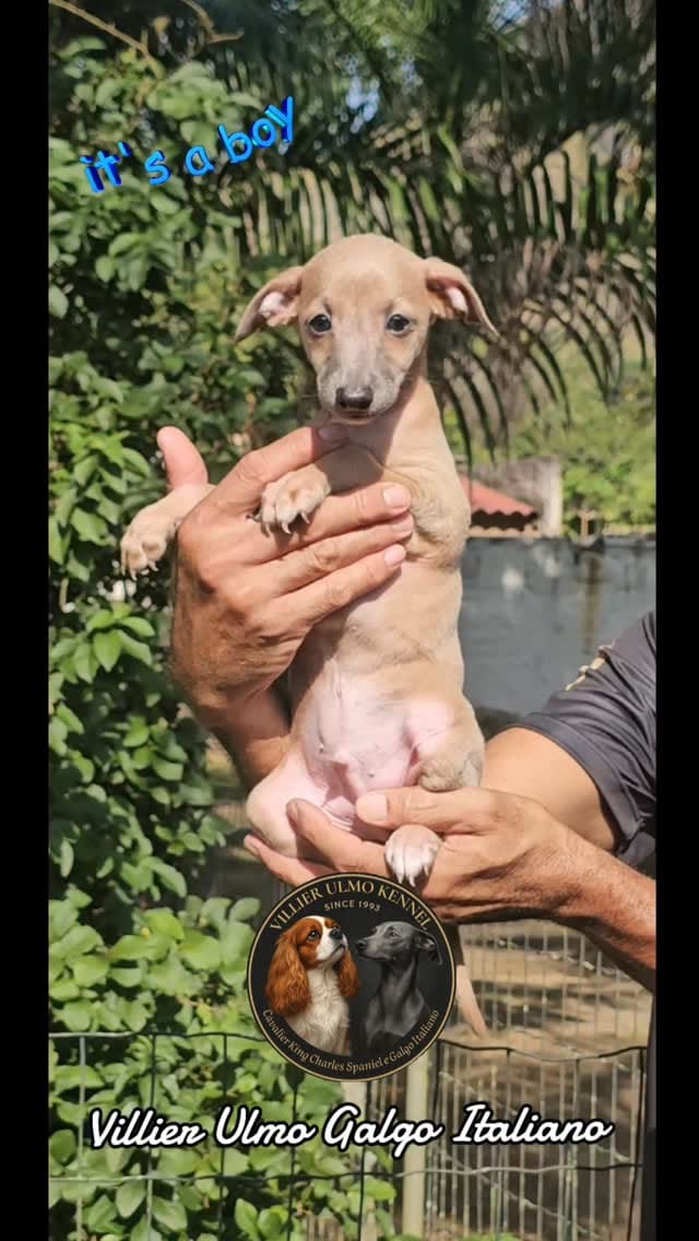 Post 6 by Christiane Ulmo on Instagram (video)