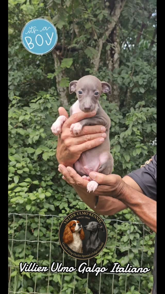 Post 7 by Christiane Ulmo on Instagram (video)