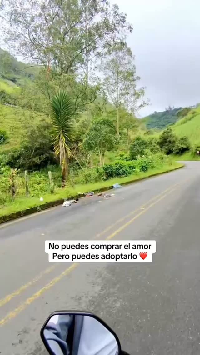 Post 8 by criollito on Instagram (video)