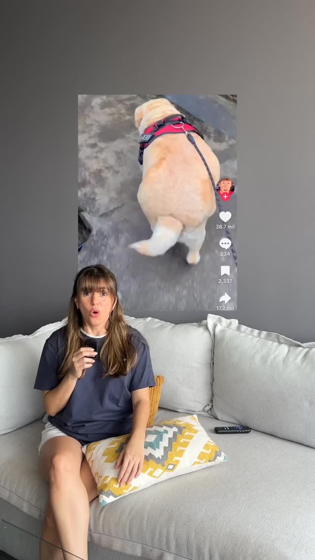 Post 1 by Dogelthy on Instagram (video)