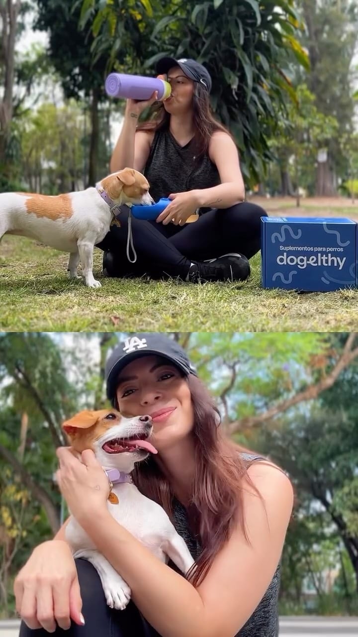 Post 4 by Dogelthy on Instagram (video)