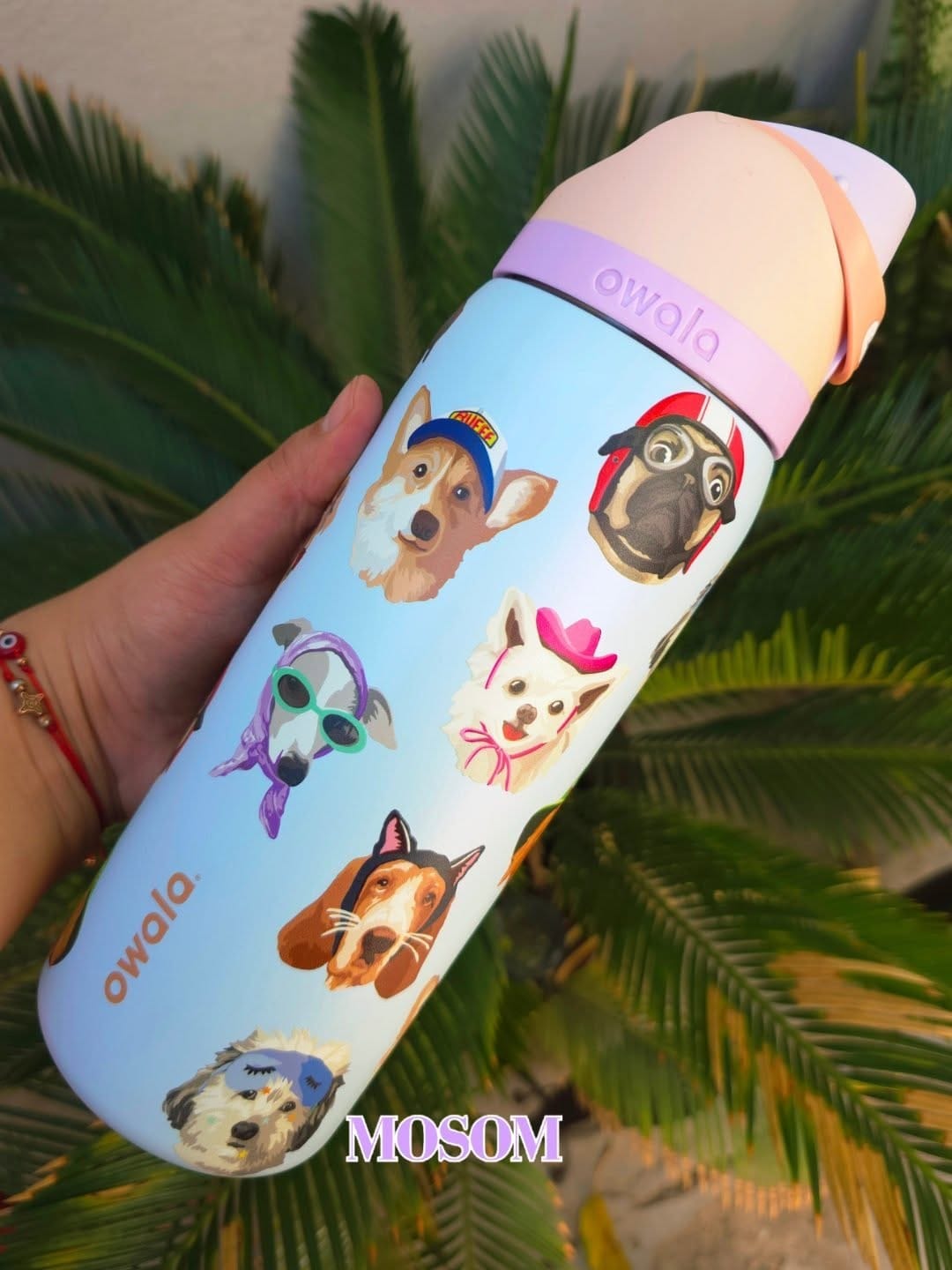 Post 8 by Compras Personalizadas, Hermosillo🛍 on Instagram (image)