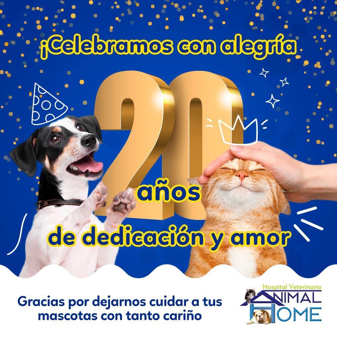 Post 10 by Animal Home on Instagram (image)