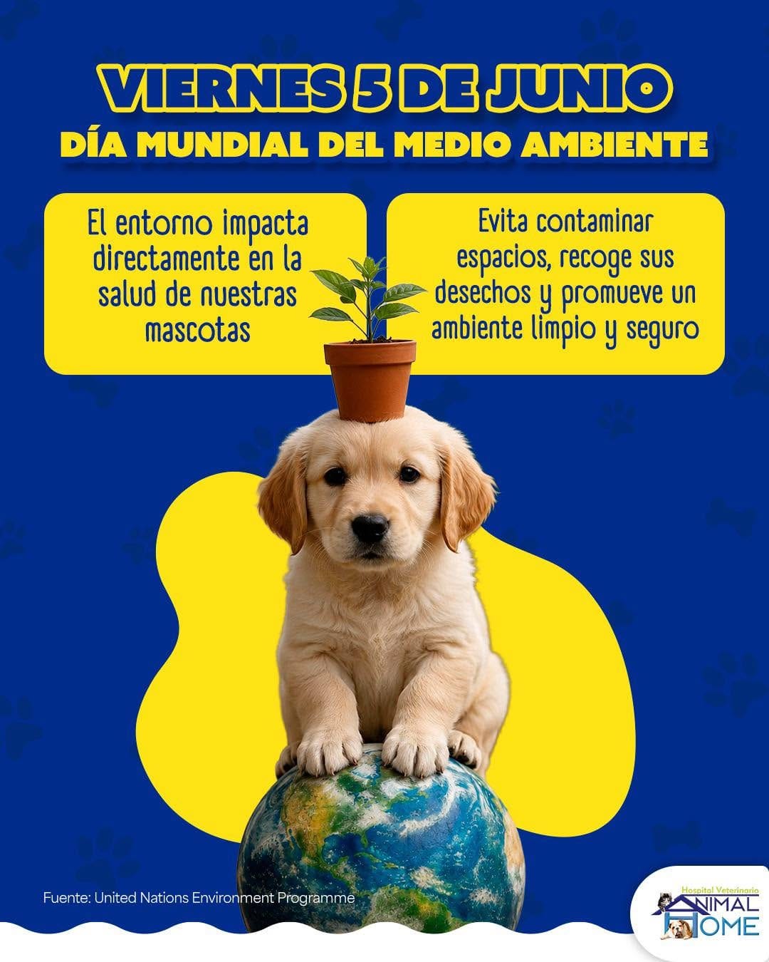 Post 2 by Animal Home on Instagram (image)