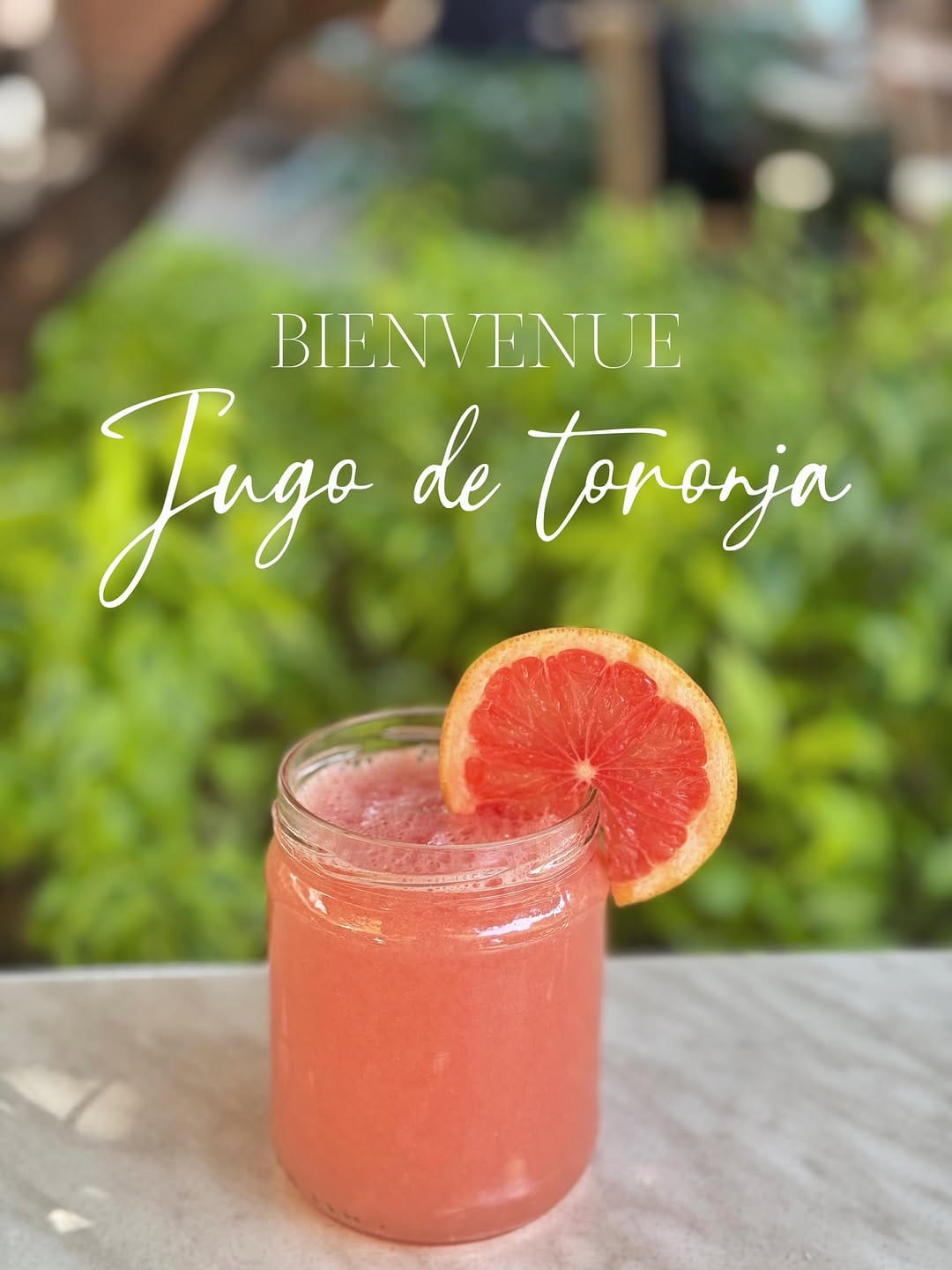 Post 5 by La Antigua Gdl ✨ on Instagram (image)