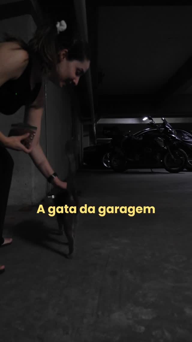 Post 2 by Joana Martins on Instagram (video)