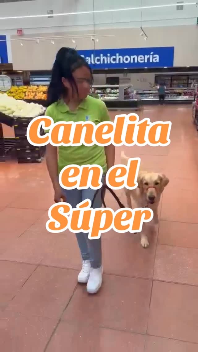 Post 7 by Inteligencia Canina on Instagram (video)