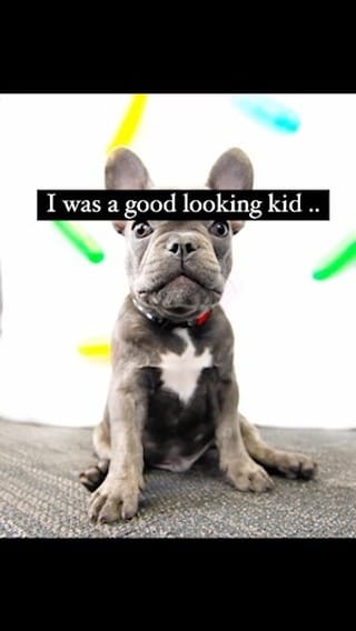 Post 8 by Napoleon on Instagram (video)