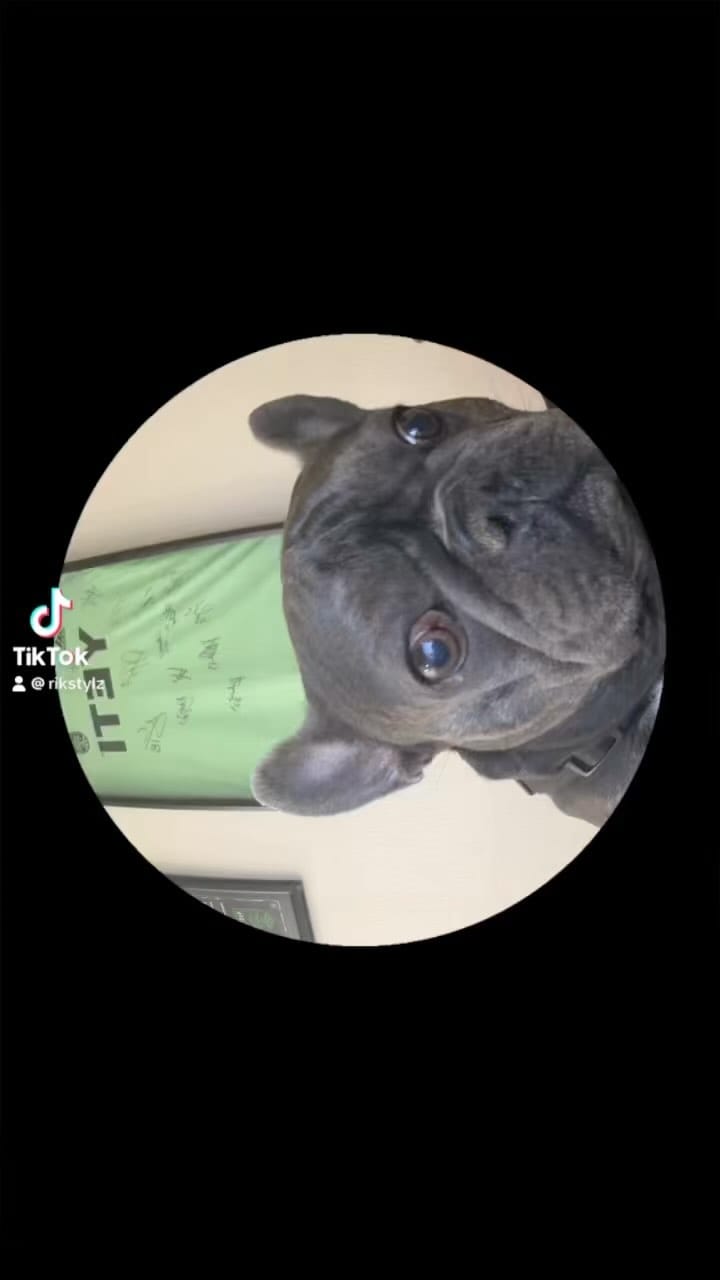 Post 9 by Napoleon on Instagram (video)