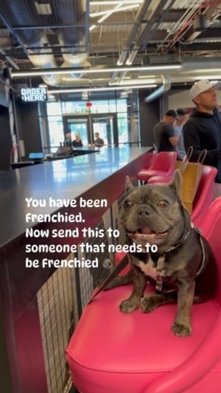 Post 7 by Napoleon on Instagram (video)