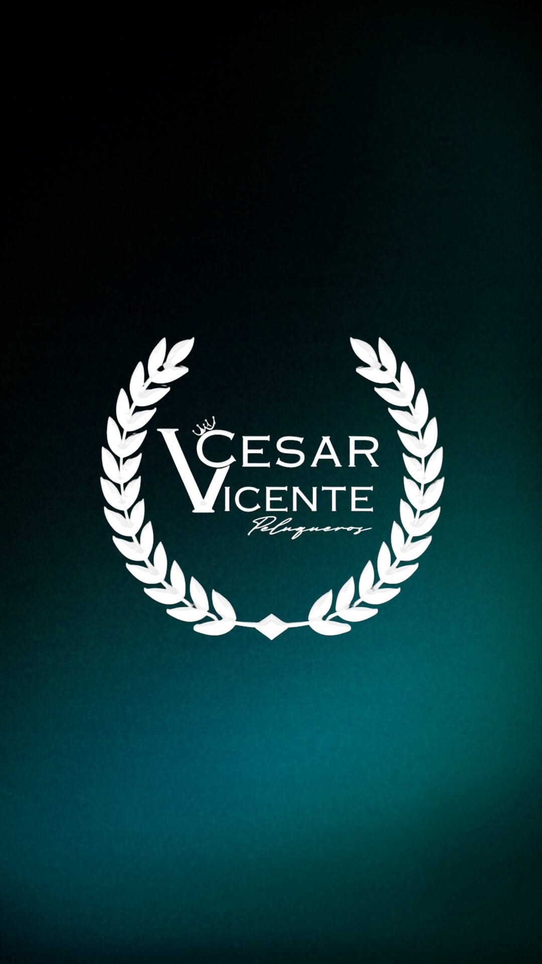 Post 4 by Cesar Vicente peluqueros on Instagram (video)