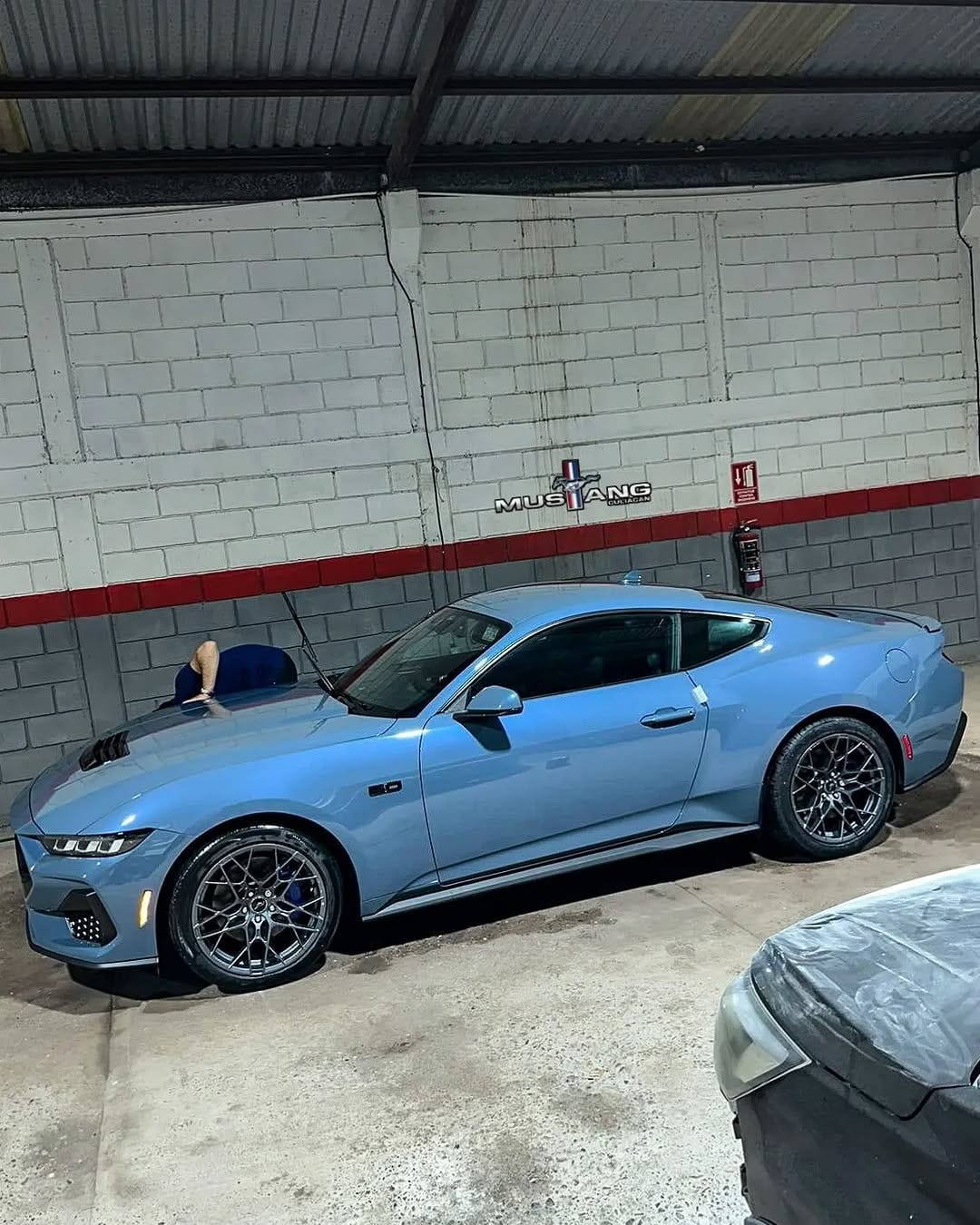 Post 7 by Mustang Culiacan® on Instagram (carousel)