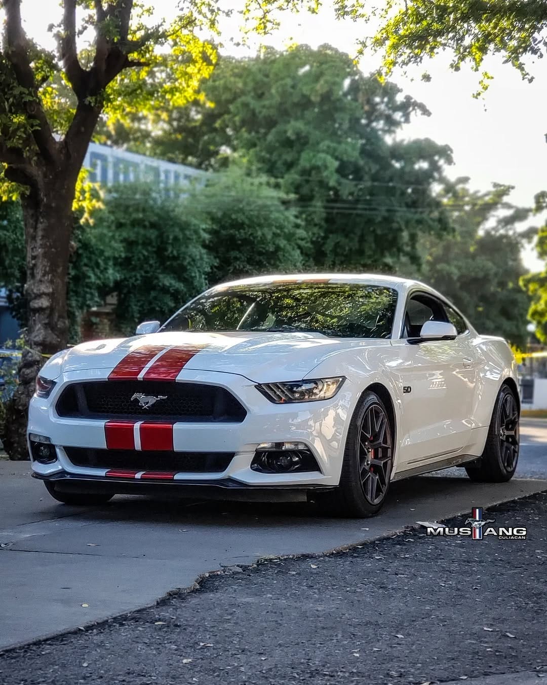 Post 6 by Mustang Culiacan® on Instagram (carousel)