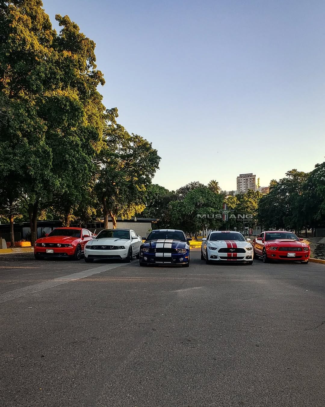 Post 5 by Mustang Culiacan® on Instagram (carousel)