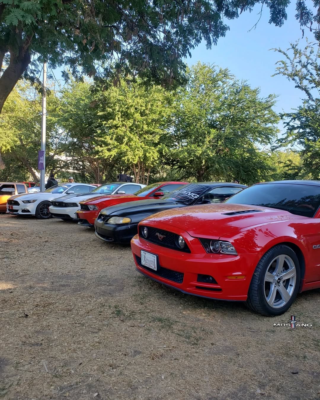 Post 3 by Mustang Culiacan® on Instagram (carousel)
