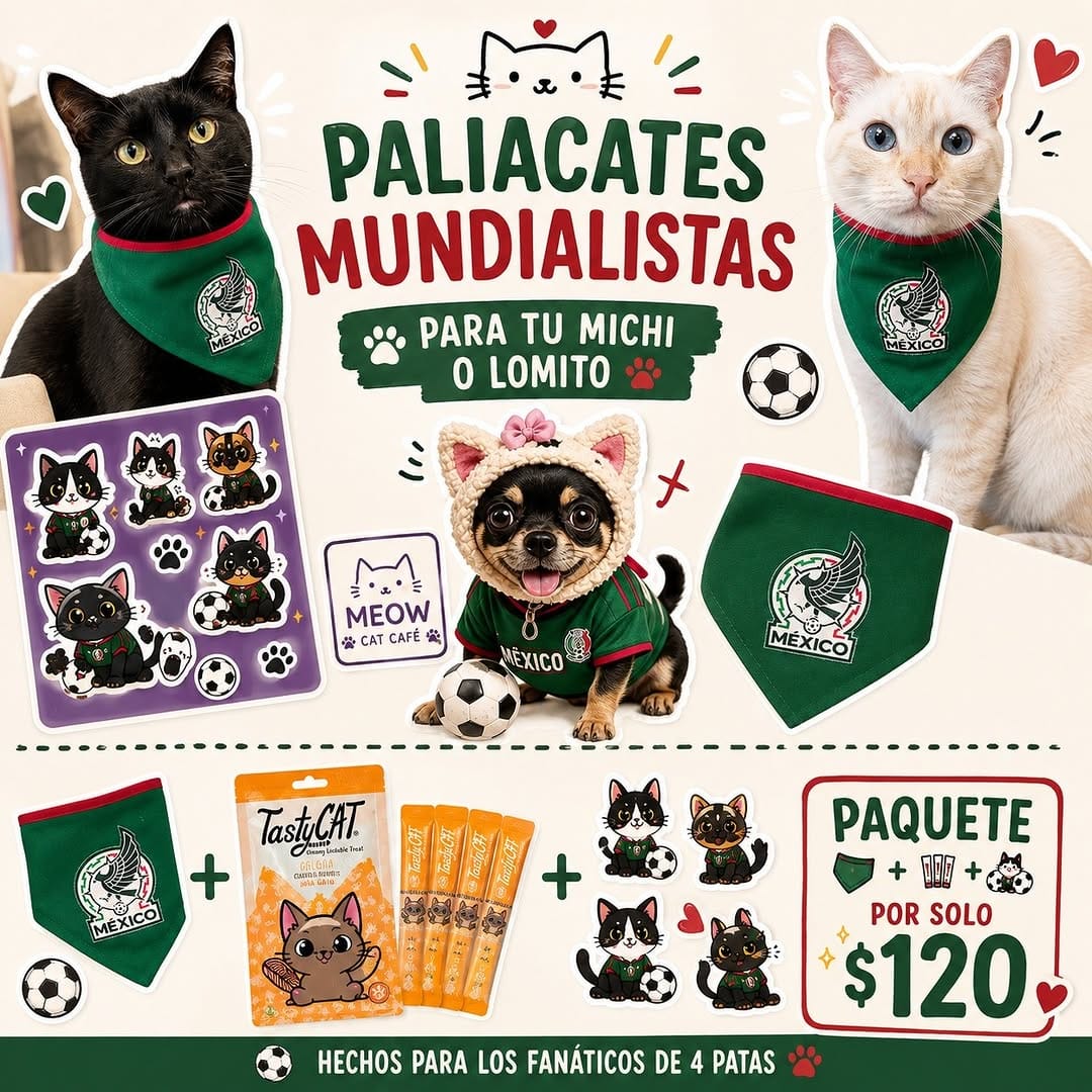Post 1 by VINTAGE Y GATOS on Instagram (image)