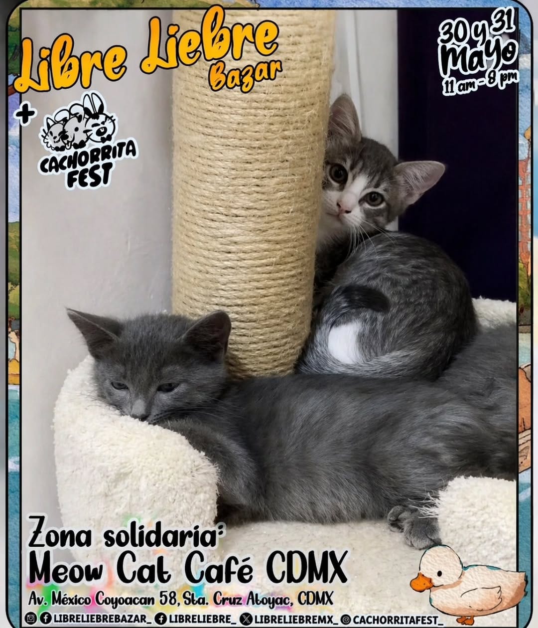 Post 8 by VINTAGE Y GATOS on Instagram (image)