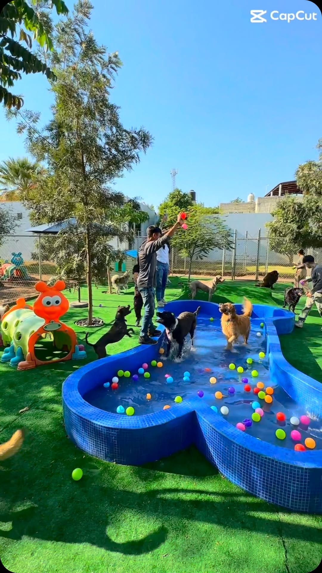Post 9 by Huellitas Resort on Instagram (video)