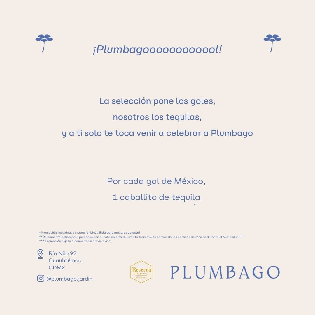 Post 1 by Plumbago on Instagram (image)