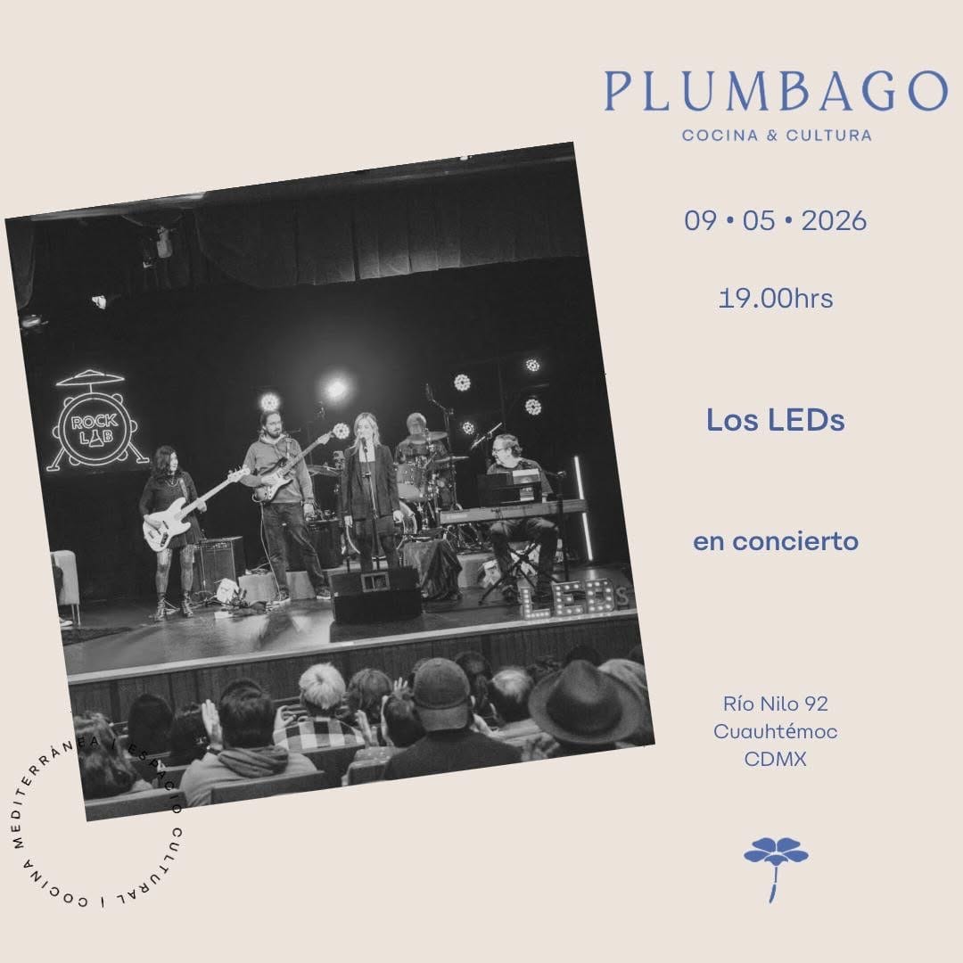 Post 5 by Plumbago on Instagram (image)