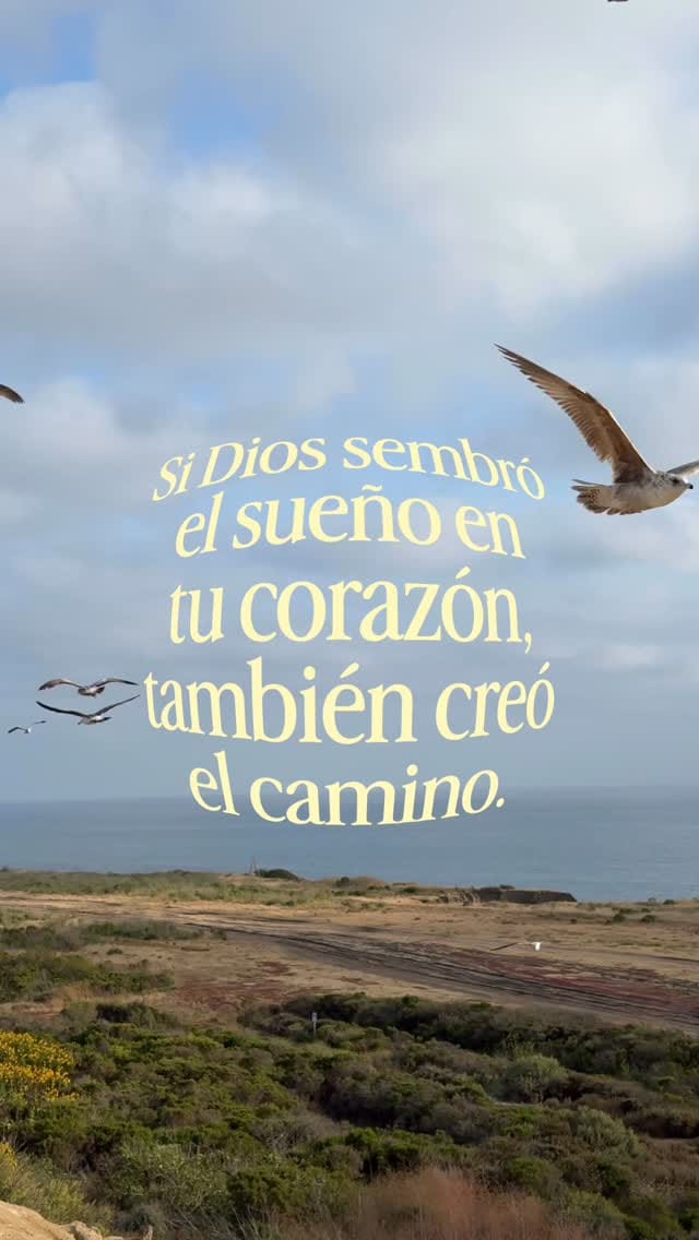 Post 8 by Alecs Baez on Instagram (video)