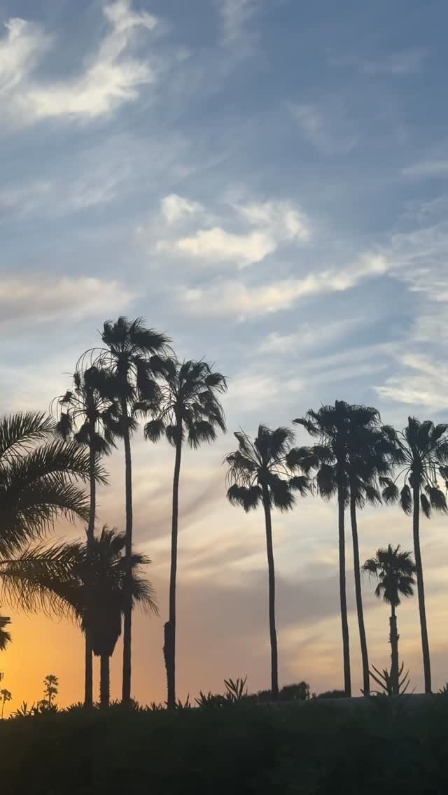 Post 5 by Alecs Baez on Instagram (video)