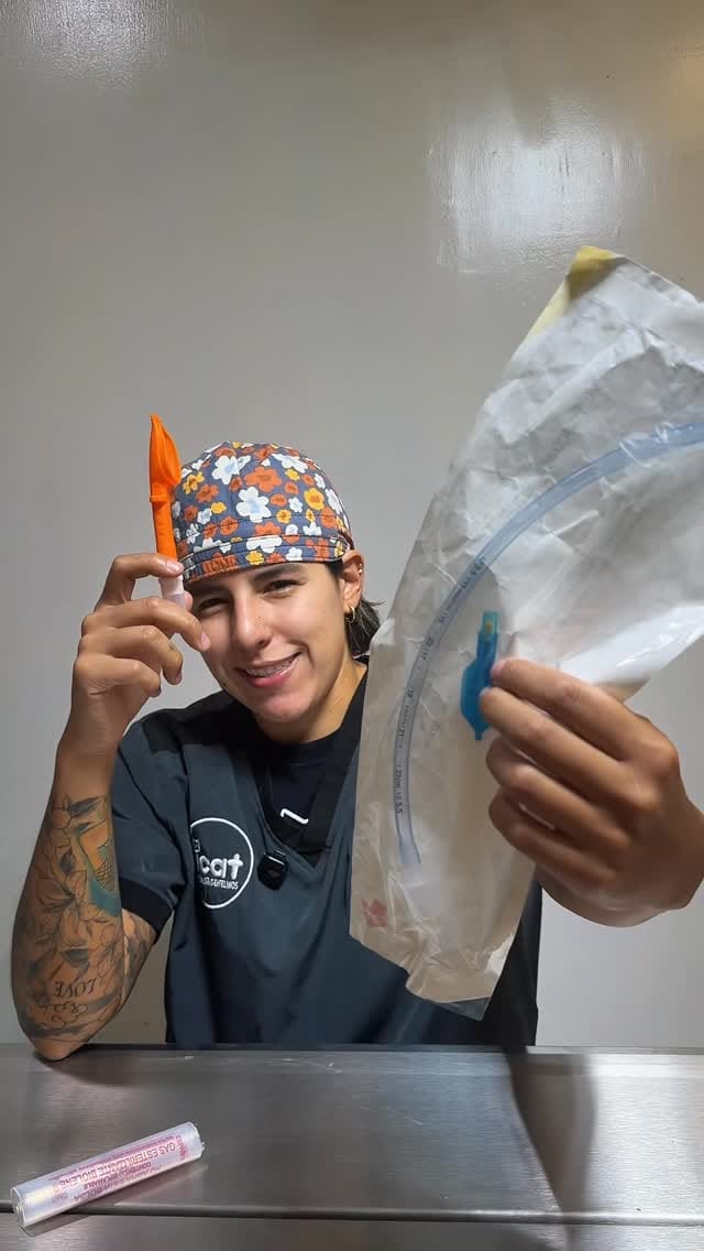 Post 8 by Alejandra Zamarripa on Instagram (video)