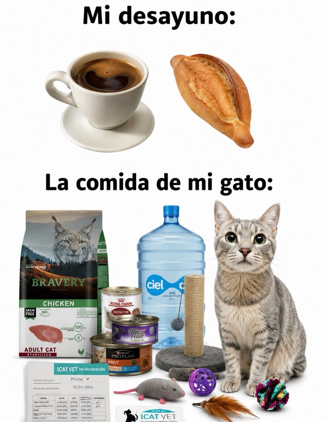 Post 4 by Alejandra Zamarripa on Instagram (image)