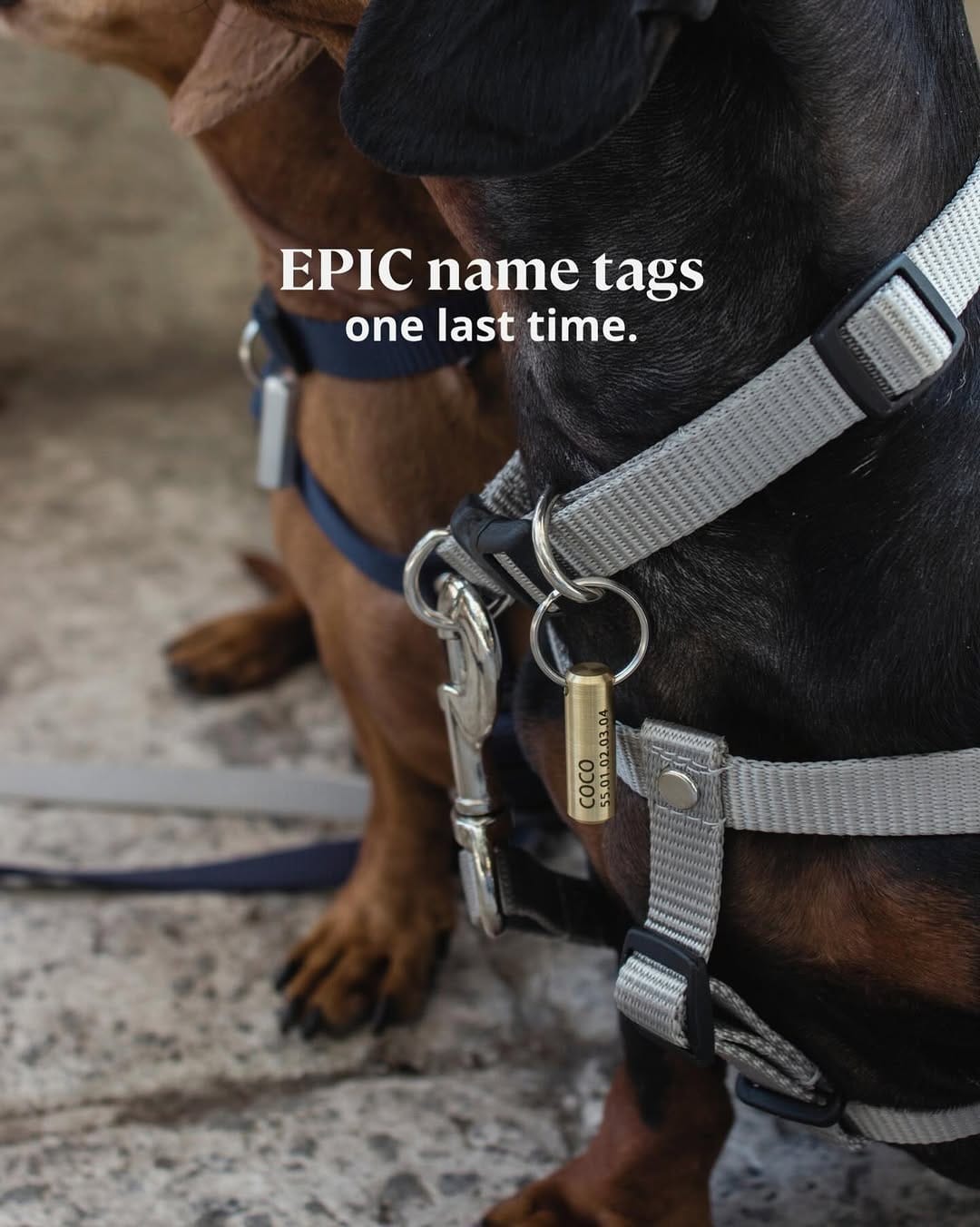 Post 1 by EPIC pets on Instagram (image)