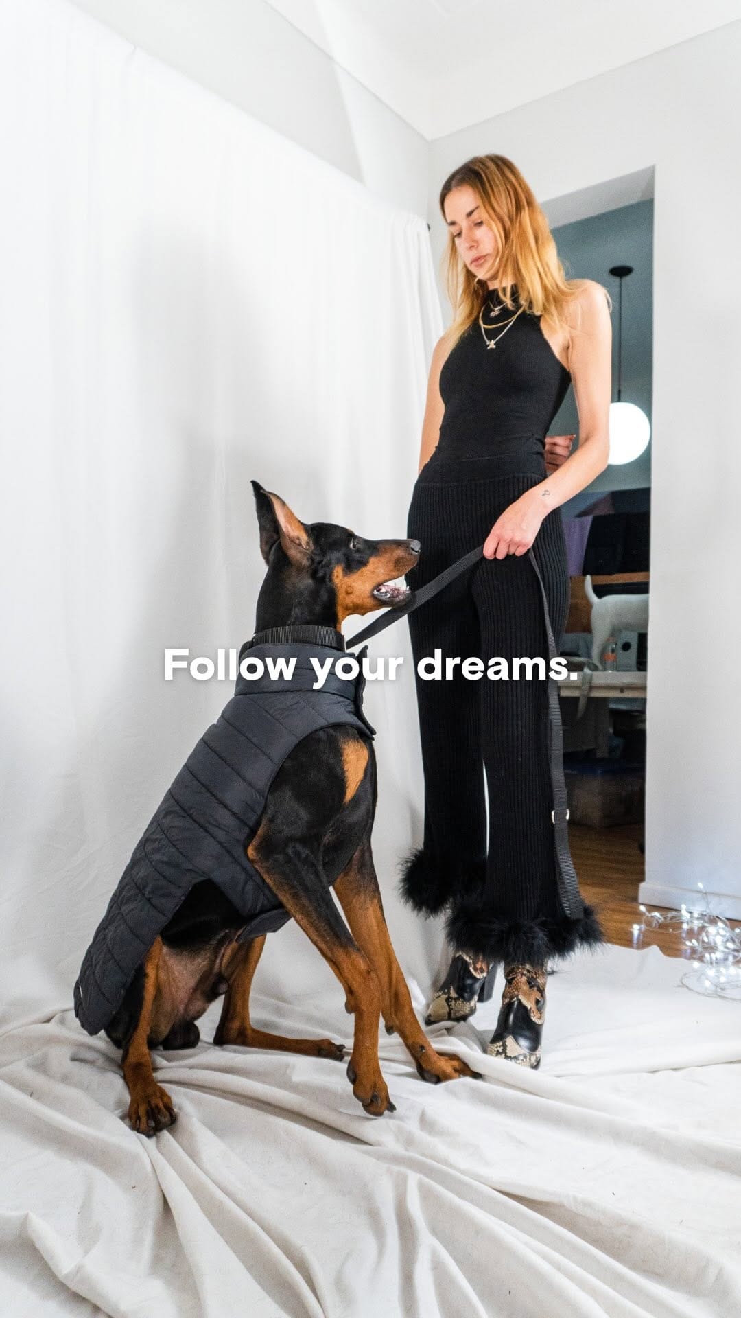 Post 4 by EPIC pets on Instagram (video)