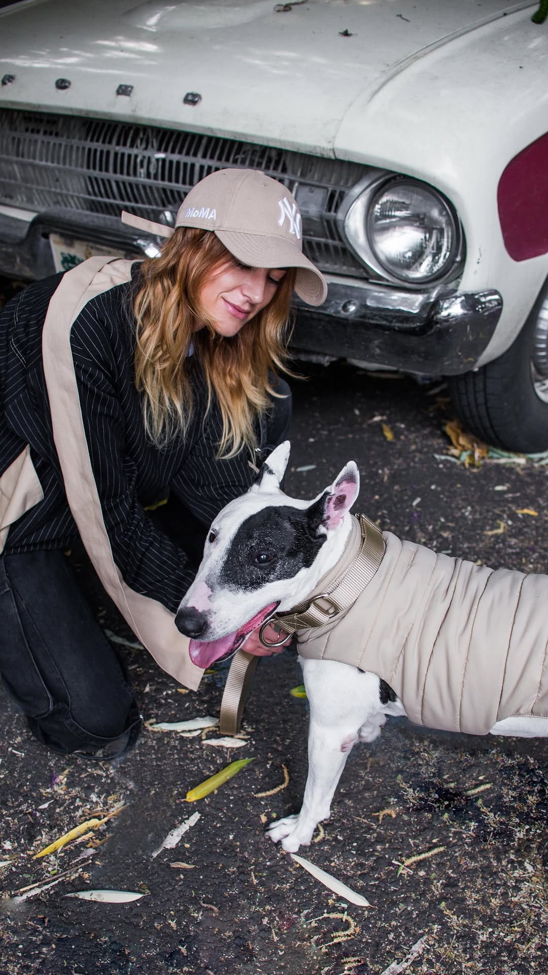 Post 10 by EPIC pets on Instagram (video)