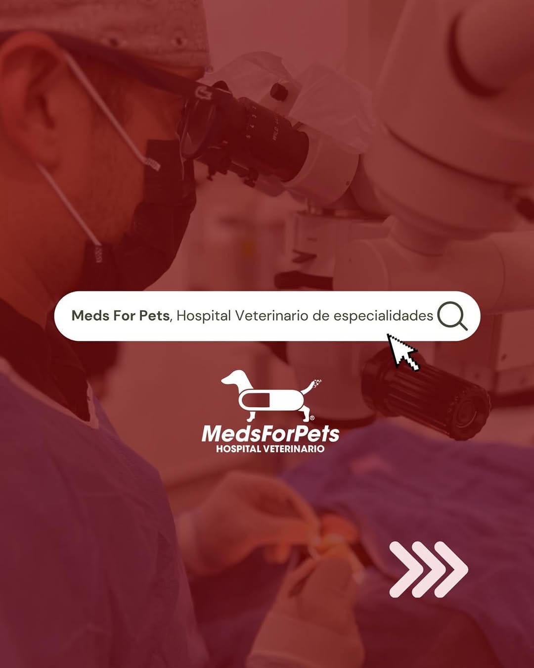 Post 5 by Meds For Pets | Hospital Veterinaro en Monterrey on Instagram (carousel)